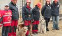Cine sunt cainii salvatori plecati in misiune in Turcia