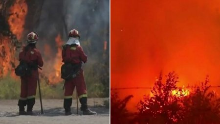 Incendiu puternic de vegetatie in Chile: Peste 300.000 de hectare au ars complet