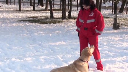 O noua echipa de caini salvatori din Romania a ajuns in Turcia | O saÂ fie un impact emotional foarte mare