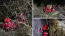 Biciclist cazut de la o inaltime de peste 8 metri, pe Cheile Sohodolului. Era prins intre dig si peretele muntelui | Cum a fost salvat