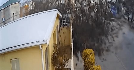 Ca in filmele de groaza: Un stol de pasari s-a prabusit peste o casa - Imaginile surprinse de camera de supraveghere VIDEO