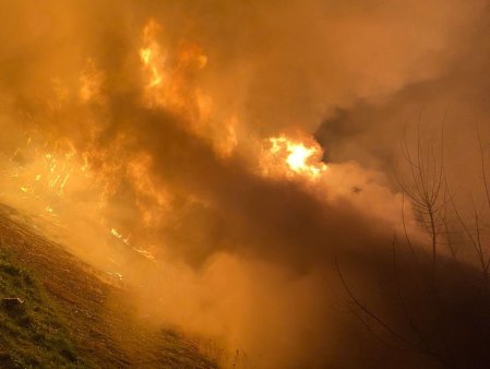 Incendiu de vegetatie langa localitatea vasluiana Murgeni. Focul afecteaza 30 hectare