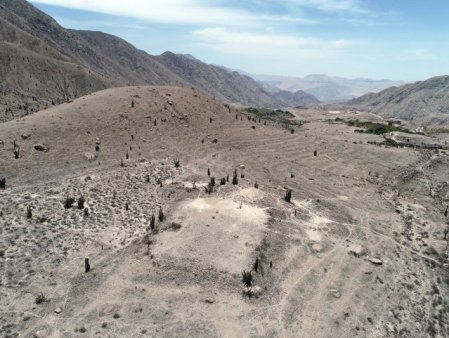 Arheologii au dezgropat un templu vechi de 1.200 de ani in Peru