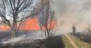 Aproape 30 de hectare de <span style='background:#EDF514'>VEGETATIE</span> uscata si stuf au ars in judetul Tulcea