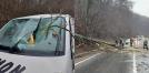 È˜ofer ranit dupa ce un copac a cazut peste un autoturism aflat in mers, pe un drum din Sighisoara