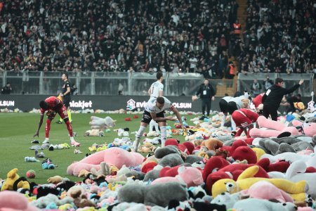 Fanii de la Besiktas au aruncat pe teren mii de jucarii pentru copiii afectati de cutremur. Meciul, intrerupt in minutul 4.17, ora seismului