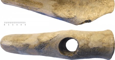 Cel mai vechi topor din corn de cerb. A fost descoperit la fundatia unei biserici din Carpatii de Curbura
