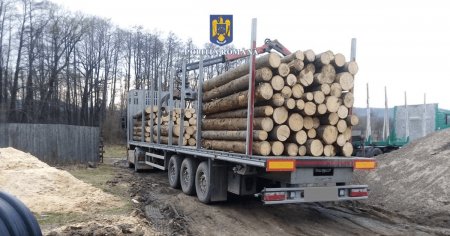 Transporturi ilegale de lemn in Suceava. Utilaj de 40.000 de euro si sute de metri <span style='background:#EDF514'>CUBI</span> de lemn, confiscate de la doua firme