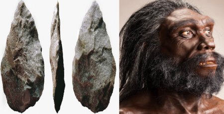 Unelte de piatra, vechi de 500,000 de ani, descoperite intr-o pestera din Polonia. Acestea au fost realizate de o alta specie umana