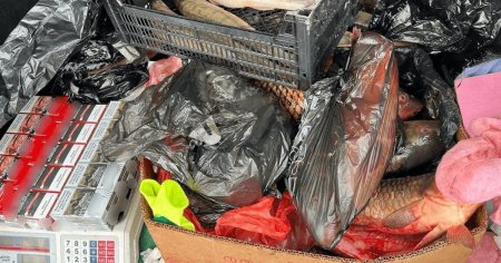 <span style='background:#EDF514'>DESCINDERI</span> la braconieri: sute de kilograme de peste si icre au fost confiscate de politistii galateni