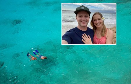 Doi tineri plecati in luna de miere in Hawaii au fost uitati in ocean de organizatorii unei <span style='background:#EDF514'>EXCURSII</span> de snorkeling