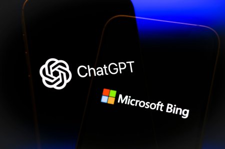 Microsoft Bing a depasit pragul de 100 milioane de utilizatori activi, pentru prima data in istoria sa