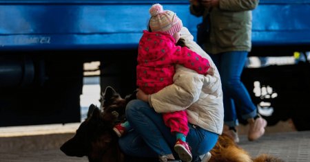 Statul a cheltuit cel putin 30 de milioane de lei pentru calatoriile refugiatilor ucraineni cu trenul