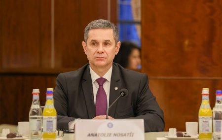 Ministrul moldovean Anatolie Nosatii: Nu exista la ora actuala un pericol militar iminent impotriva Republicii Moldova