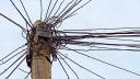 Cablurile de pe stalpii din cinci sectoare din Bucuresti vor fi eliminate. Ce zone sunt vizate