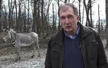 Zebra chapman, in premiera <span style='background:#EDF514'>LA ZOO</span> Targu Mures. Ce alte animale au mai fost importate