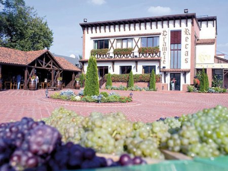 Producatorul de vin Cramele Recas a <span style='background:#EDF514'>BUGETAT</span> o crestere de 15% a afacerilor pentru 2023