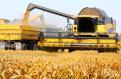 Ministerul Agriculturii: Productia de cereale din anul agricol 2022 a fost de 19,18 mil. tone. <span style='background:#EDF514'>PRODUCTIA DE GRAU</span> a depasit-o pe cea de porumb dupa 32 de ani