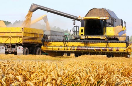<span style='background:#EDF514'>MINISTERUL AGRICULTURII</span>: Productia de cereale din anul agricol 2022 a fost de 19,18 mil. tone. Productia de grau a depasit-o pe cea de porumb dupa 32 de ani