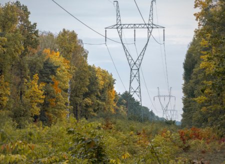 Delgaz Grid vrea sa amenajeze in urmatorii sapte ani aproape 1.200 hectare de coridoare <span style='background:#EDF514'>VERZI</span> de-a lungul a 370 km de retele electrice care traverseaza terenuri forestiere in Romania