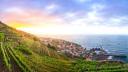 Madeira, <span style='background:#EDF514'>INSULA</span> Paradis din Oceanul Atlantic