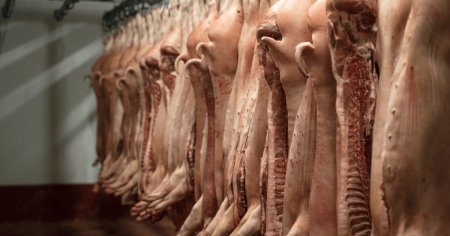 Trei romani au furat in Belgia 5,5 tone de carcase de porc pentru consum propriu