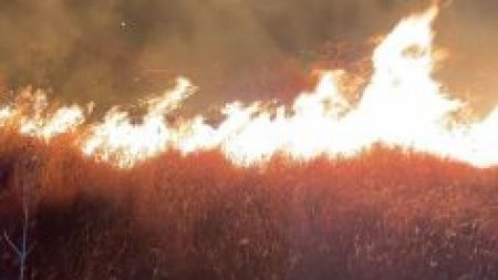 Incendiu violent in judetul Prahova. 3.000 de metri patrati au ars in comuna <span style='background:#EDF514'>GORGOTA</span>