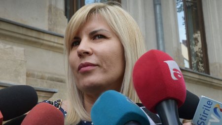 Elena Udrea contesta pedeapsa in dosarul Gala Bute. Avocata: Ne asteptam sa castigam