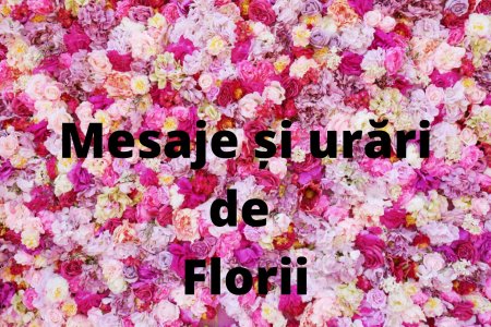 Mesaje de Florii 2023 – Urari si felicitari pe care sa le trimiti de Florii