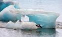 O regiune din Antarc<span style='background:#EDF514'>TICA</span> se topeste rapid. Nivelul marilor lumii ar putea creste cu peste un metru