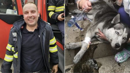 Un pompier din Mehedinti a scos un caine din flacarile unui incendiu. Ce s-a intamplat dupa ce l-a resuscitat minute in sir