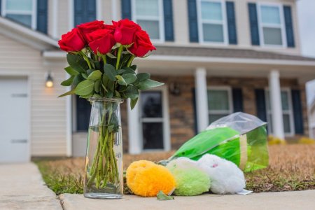 Patru persoane, dintre care trei copii, au fost im<span style='background:#EDF514'>PUSCA</span>te mortal intr-o casa din Carolina de Sud. Suspectul s-a sinucis