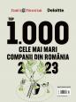 Top 1.000 cele mai mari companii din Romania. Judetul Bacau surclaseaza Timisul cu 15 companii antreprenoriale in top 1.000 fata de patru in judetul din vestul tarii