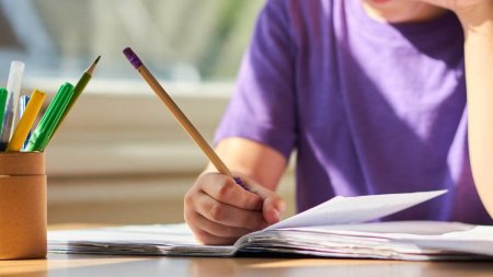 Eliminarea examenului de admitere la liceu si evaluarea nationala cu cinci probe, propuse de Consiliul Economic si Social
