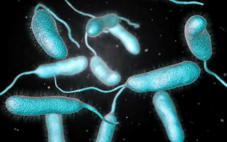 Experti: <span style='background:#EDF514'>NUMARUL</span> celor infectati cu bacterii care se hranesc cu carne umana s-ar putea dubla in urmatorii 20 de ani
