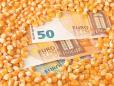 O piata la care Romania nu <span style='background:#EDF514'>SE UITA</span>: semintele de cereale ar putea aduce 2 mld. euro in conturi, doar daca am cultiva pe 100.000 de hectare porumb. 