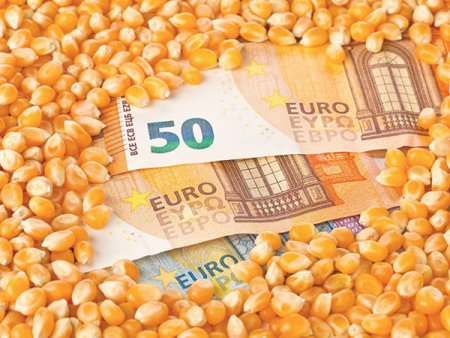 O piata la care Romania nu se uita: se<span style='background:#EDF514'>MINTE</span>le de cereale ar putea aduce 2 mld. euro in conturi, doar daca am cultiva pe 100.000 de hectare porumb. Nu e usor sa produci, pentru ca aici ne lovim de forta de munca din ce in ce mai putina.