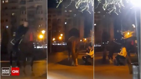 <span style='background:#EDF514'>OMUL</span> e cu calul in parc! A rupt banca | Mai multi tineri si-au dus calul la pascut intr-un parc din Baia Mare
