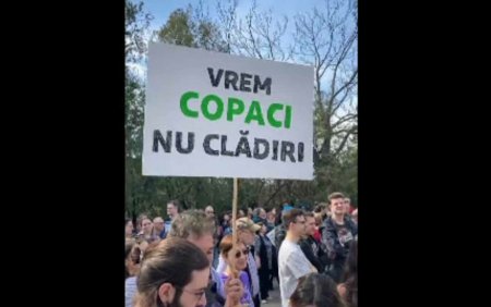 <span style='background:#EDF514'>PROTEST</span> in parcul IOR din Bucuresti, pentru salvarea copacilor. Analiza legalitatii retrocedarii terenului este pe final