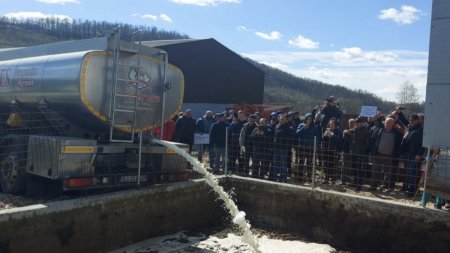 Cisterna plina cu lapte, varsata intr-o fosa: Protestul fermierilor disperati ca nu mai au cui sa-si vanda productia, de la 1 aprilie