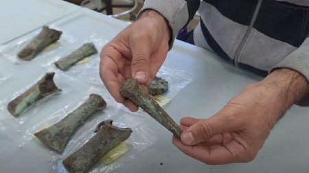 Doi barbati din Alba au gasit un depozit de bronzuri de peste 3.000 de ani