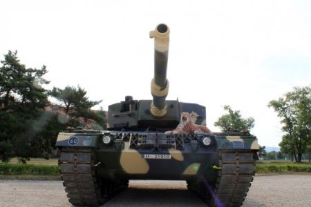 Ucraina a comandat 100 de vehicule militare multirol, finantate de UE si SUA