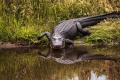 Copil gasit mort <span style='background:#EDF514'>IN GURA</span> unui aligator in Florida, aruncat intentionat in lac de tatal sau