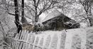 Iarna a revenit in satele din Èšinutul <span style='background:#EDF514'>PADURENI</span>lor. Cod portocaliu de ninsori in Hunedoara VIDEO