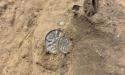 Monede <span style='background:#EDF514'>VIKING</span>e vechi de 1.000 de ani, descoperite de o tanara care detecta metale intr-un lan de porumb danez