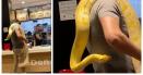 Un barbat din <span style='background:#EDF514'>TARGU MURES</span>, la restaurant alaturi de sarpele sau! Imaginile au devenit virale pe internet