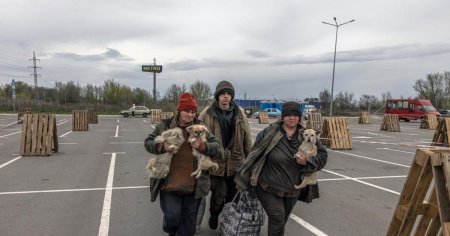 Reguli stricte pentru refugiatii ucraineni care vin in Romania cu animale de  companie