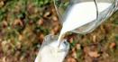 Laptele romanesc ar trebui sa se ieftineasca cu cel putin 20% de la 1 mai