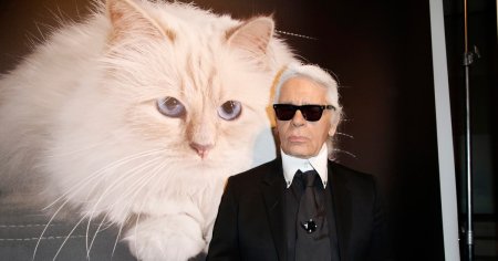 Ce mai face Choupette, pisica milionara a regretatului creator de moda <span style='background:#EDF514'>KARL LAGERFELD</span> FOTO