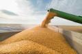 Acordul pentru transportul cerealelor ucrainene pe Marea Neagra va fi prelungit – surse TASS